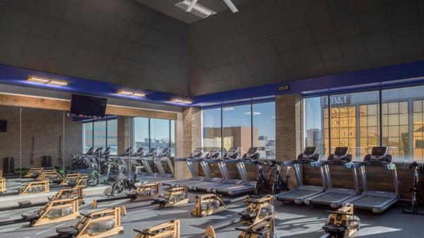 Cardio equipments in modern gym in Lexington